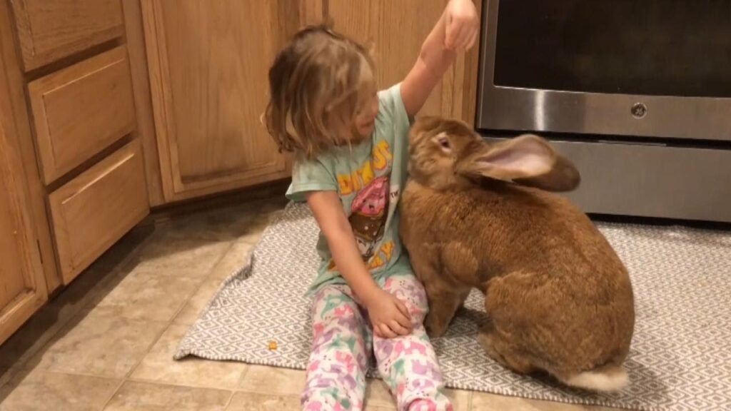 Giant Rabbit Brings Smiles To Family
