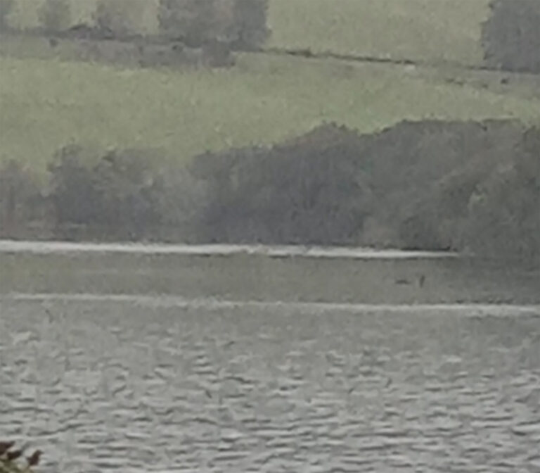 lochness-sea-monster-1