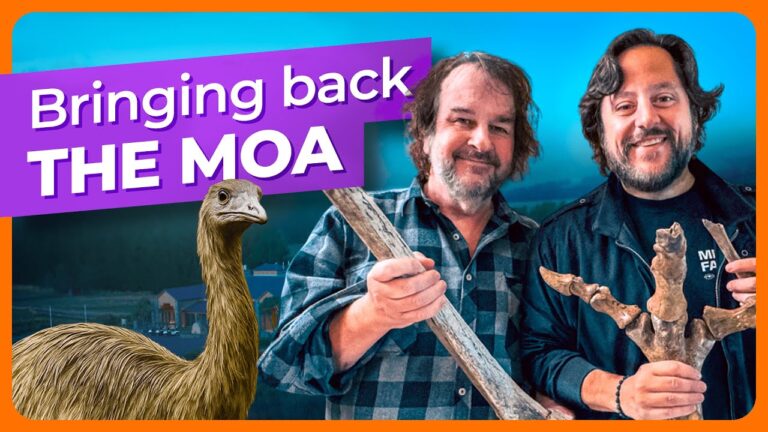 bringing back the moa