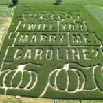 corn-maze-proposal-01