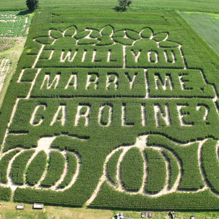 corn-maze-proposal-01