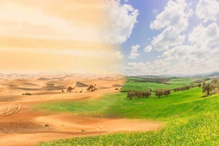 turning sand into soil1a