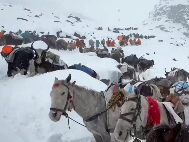 mount everest rescue
